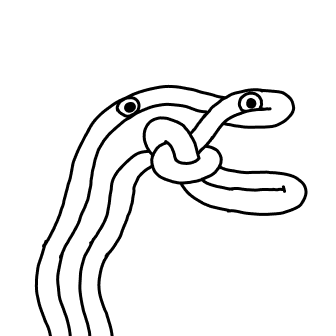 Knot 516