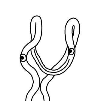 Knot 595
