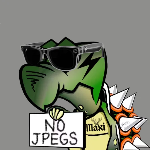 Maxi Turdles #5