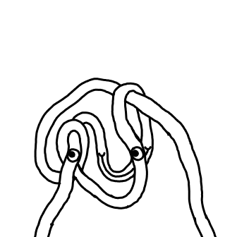 Knot 381