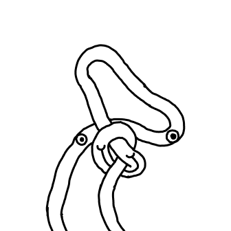 Knot 110