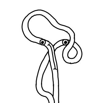 Knot 635