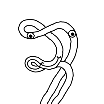Knot 881