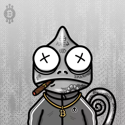 Hando_Punk