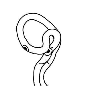 Knot 885