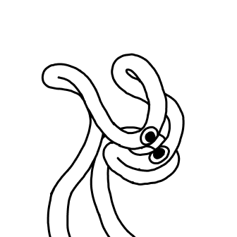 Knot 888