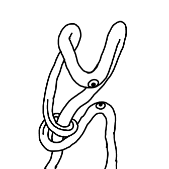 Knot 86