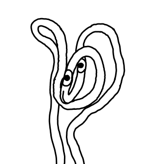 Knot 788
