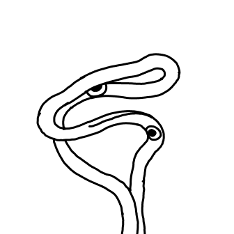 Knot 752