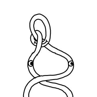 Knot 363