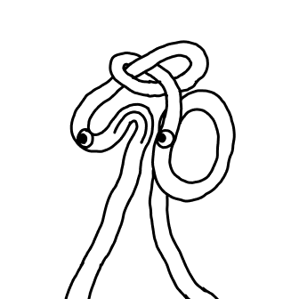 Knot 75