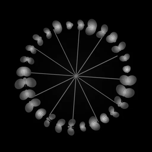 Fly-Wheel