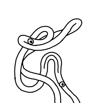 Knot 6