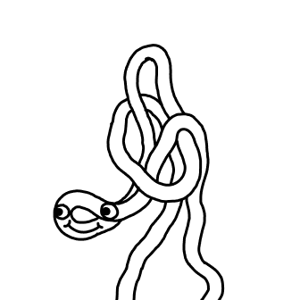 Knot 894