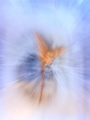 Into the Icy Blast