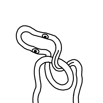 Knot 256
