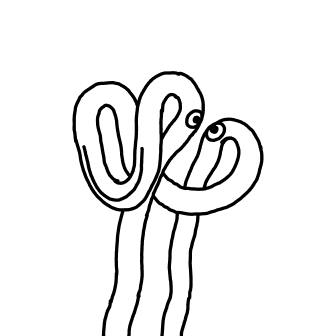 Knot 898