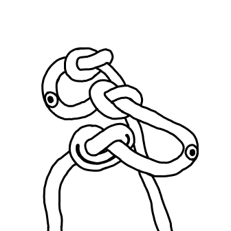 Knot 295