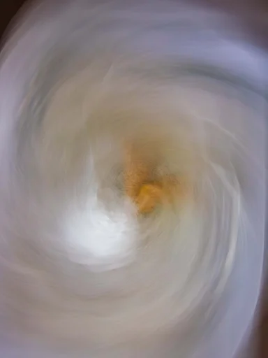 The Eye Begins