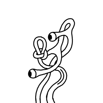 Knot 186