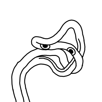 Knot 809