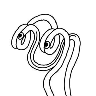 Knot 648