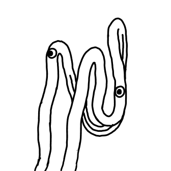 Knot 903