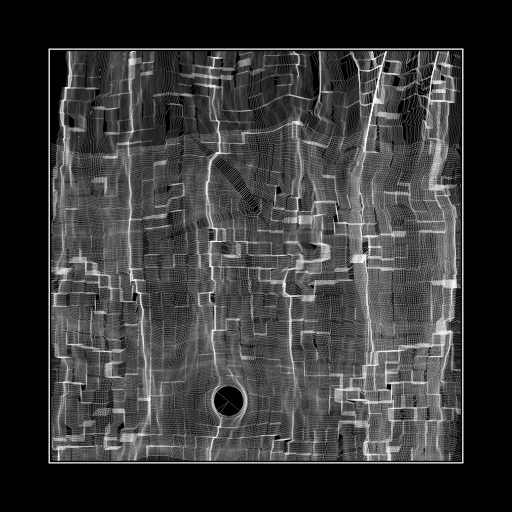 ENTROPY