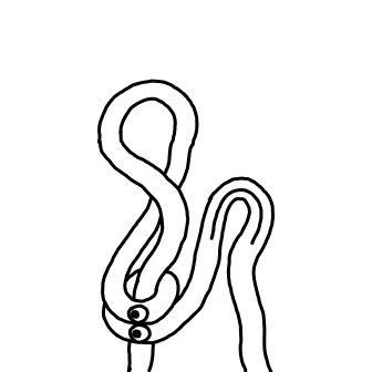 Knot 12