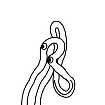 Knot 339