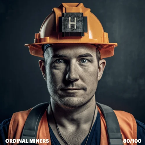 Ordinal Miner 80