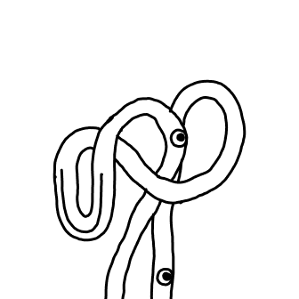 Knot 216