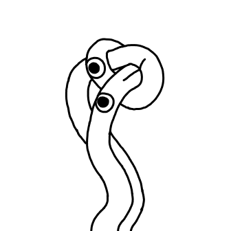 Knot 816
