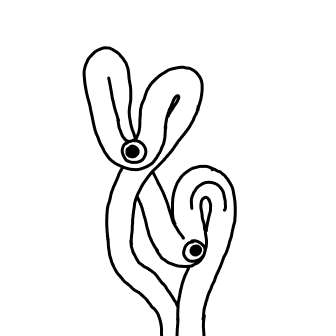 Knot 789