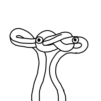 Knot 907