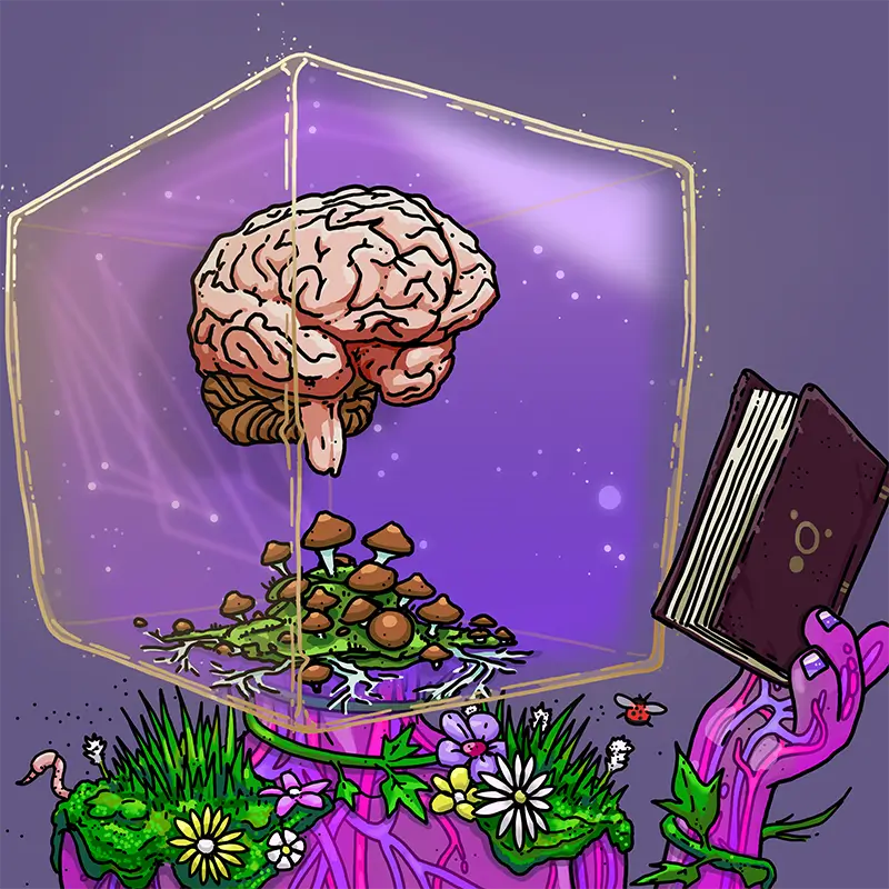 UME Headcase #48