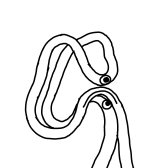 Knot 434