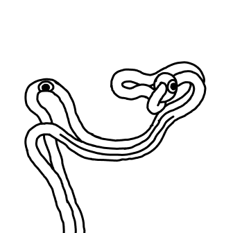 Knot 843