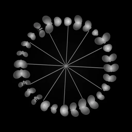 Fly-Wheel