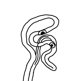 Knot 760