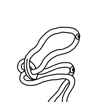 Knot 245