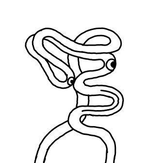 Knot 550