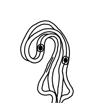 Knot 479