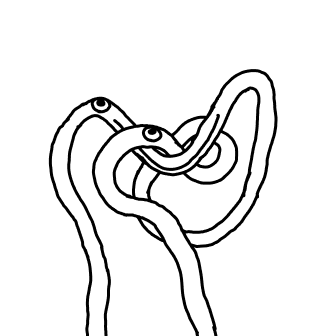 Knot 31
