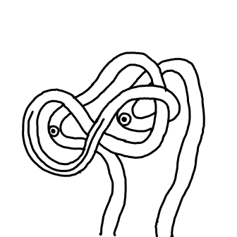 Knot 224