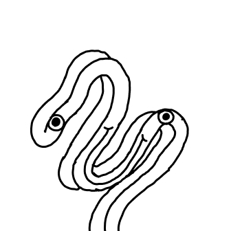 Knot 750