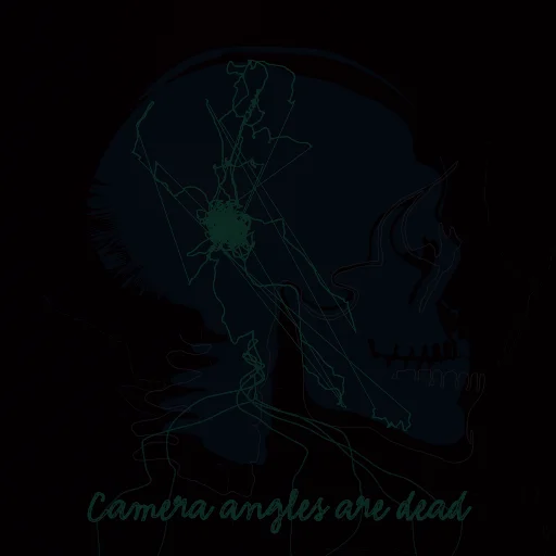 Camera angles are dead