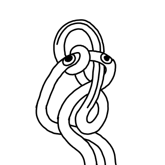 Knot 575