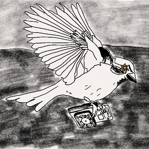 yuop