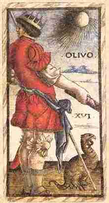Olivo